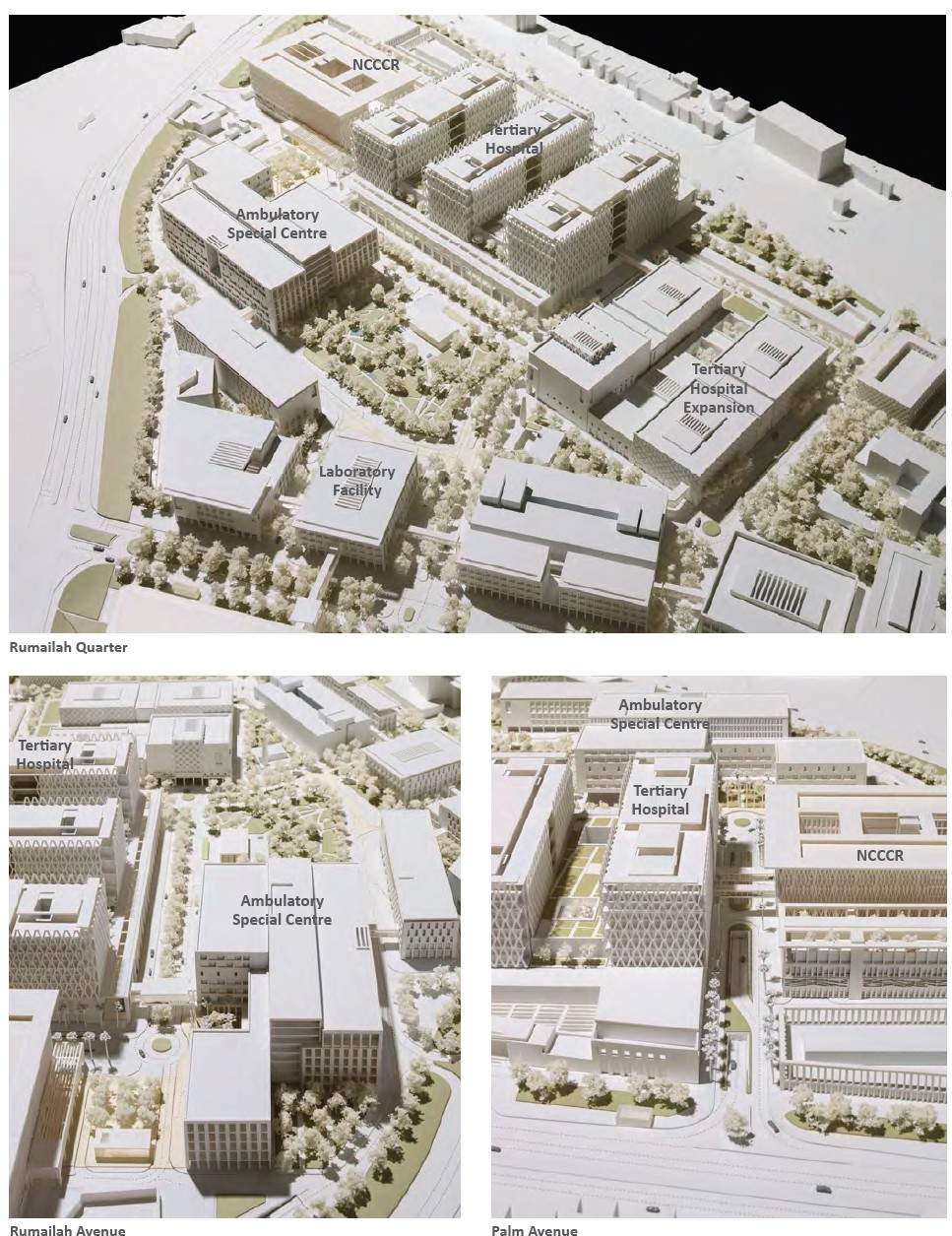 — Adam Levinsky, Lead Architect at Archifolio