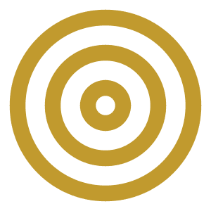 Project Vision & Objectives